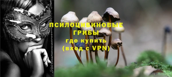 сатива Абдулино
