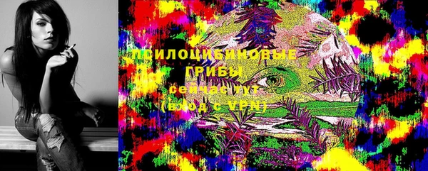 крисы Абинск