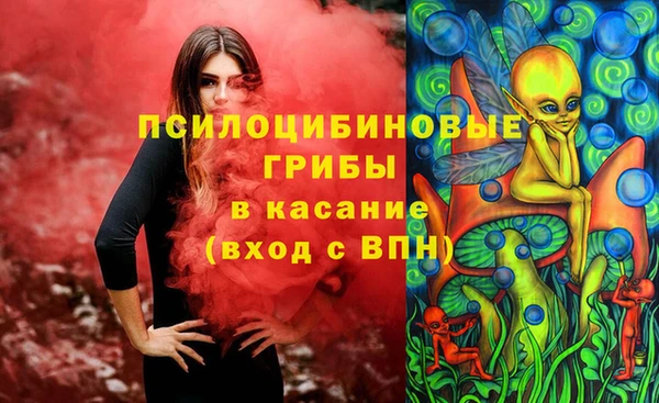сатива Абдулино